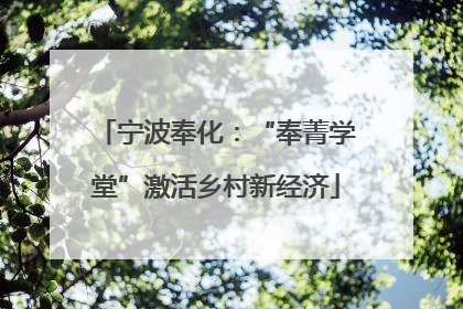 宁波奉化：“奉菁学堂”激活乡村新经济
