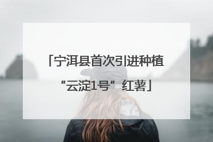 宁洱县首次引进种植“云淀1号”红薯