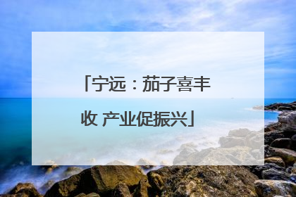 宁远：茄子喜丰收 产业促振兴