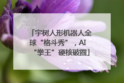 宇树人形机器人全球“格斗秀”，AI“拳王”硬核破圈