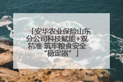 安华农业保险山东分公司科技赋能+双精准 筑牢粮食安全“稳定器”