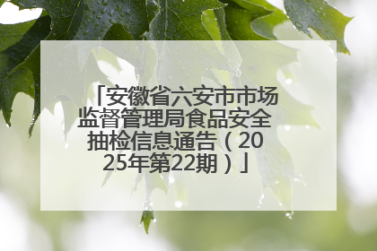 安徽省六安市市场监督管理局食品安全抽检信息通告（2025年第22期）
