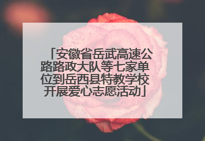 安徽省岳武高速公路路政大队等七家单位到岳西县特教学校开展爱心志愿活动