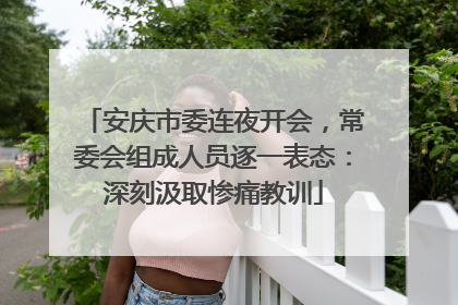 安庆市委连夜开会，常委会组成人员逐一表态：深刻汲取惨痛教训