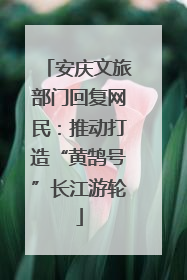 安庆文旅部门回复网民：推动打造“黄鹄号”长江游轮