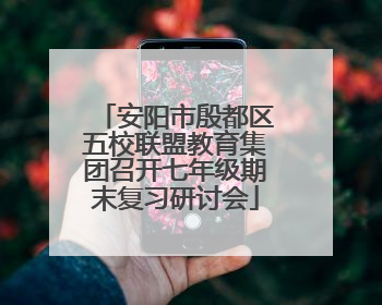 安阳市殷都区五校联盟教育集团召开七年级期末复习研讨会