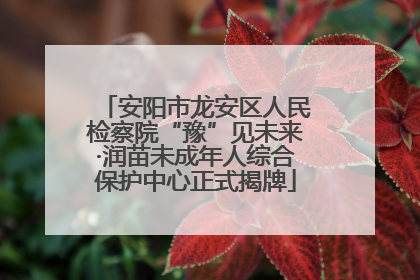 安阳市龙安区人民检察院“豫”见未来·润苗未成年人综合保护中心正式揭牌