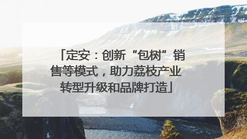定安：创新“包树”销售等模式，助力荔枝产业转型升级和品牌打造