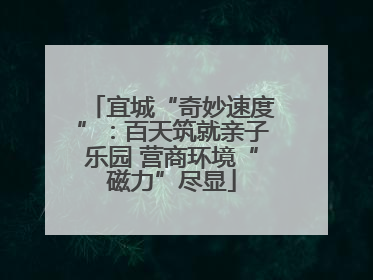 宜城“奇妙速度”：百天筑就亲子乐园 营商环境“磁力”尽显