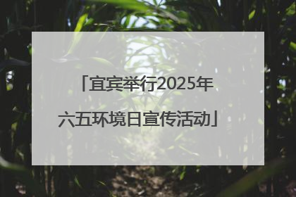 宜宾举行2025年六五环境日宣传活动