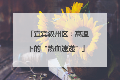 宜宾叙州区：高温下的“热血速递”