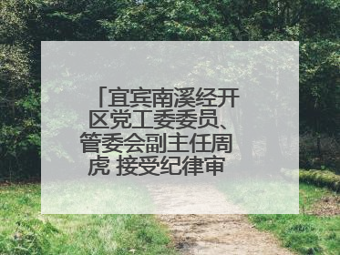 宜宾南溪经开区党工委委员、管委会副主任周虎 接受纪律审查和监察调查