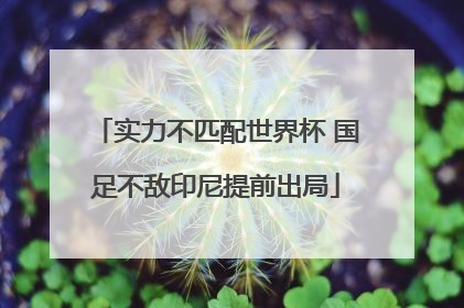 实力不匹配世界杯 国足不敌印尼提前出局