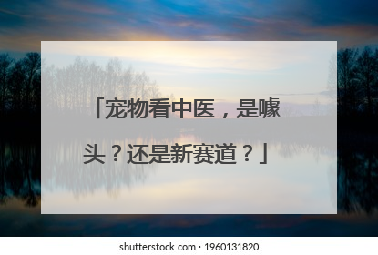宠物看中医，是噱头？还是新赛道？