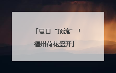 夏日“顶流”！福州荷花盛开