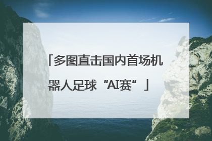 多图直击国内首场机器人足球“AI赛”