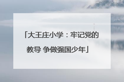大王庄小学：牢记党的教导 争做强国少年