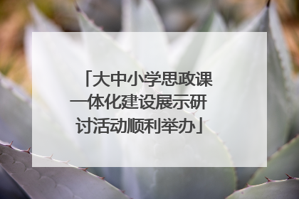 大中小学思政课一体化建设展示研讨活动顺利举办