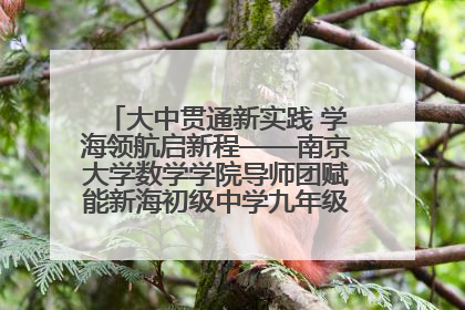 大中贯通新实践 学海领航启新程——南京大学数学学院导师团赋能新海初级中学九年级学子生涯规划