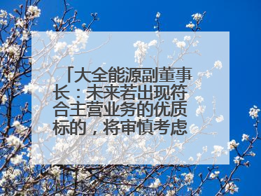 大全能源副董事长：未来若出现符合主营业务的优质标的，将审慎考虑并购机会