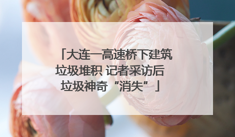 大连一高速桥下建筑垃圾堆积 记者采访后垃圾神奇“消失”