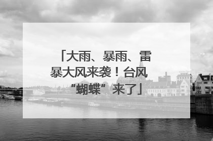 大雨、暴雨、雷暴大风来袭！台风“蝴蝶”来了