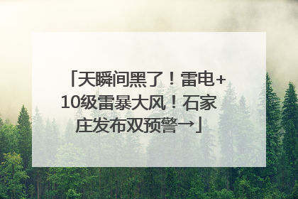 天瞬间黑了！雷电+10级雷暴大风！石家庄发布双预警→