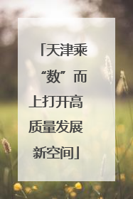 天津乘“数”而上打开高质量发展新空间