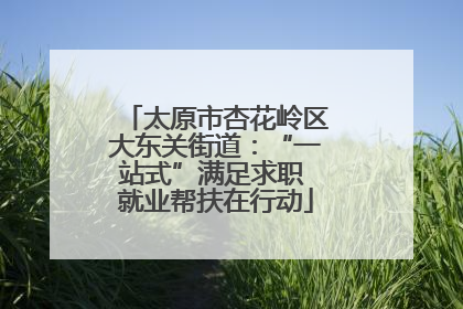 太原市杏花岭区大东关街道：“一站式”满足求职 就业帮扶在行动