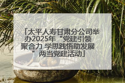 太平人寿甘肃分公司举办2025年“党建引领聚合力 学思践悟助发展”两当党建活动