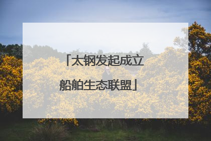 太钢发起成立船舶生态联盟