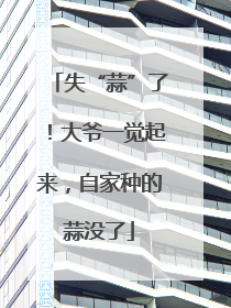 失“蒜”了！大爷一觉起来，自家种的蒜没了