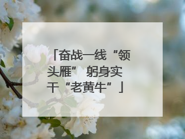 奋战一线“领头雁” 躬身实干“老黄牛”