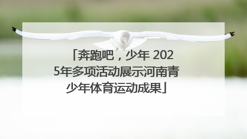奔跑吧，少年 2025年多项活动展示河南青少年体育运动成果