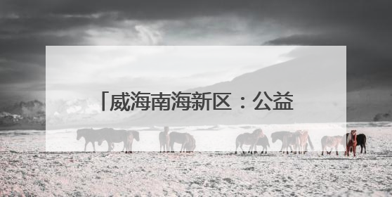 威海南海新区：公益集市“小阵地” 绘就民生“大图景”