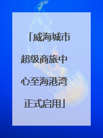 威海城市超级商旅中心至海港湾正式启用