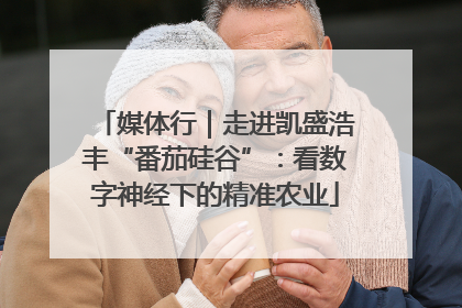 媒体行｜走进凯盛浩丰“番茄硅谷”：看数字神经下的精准农业