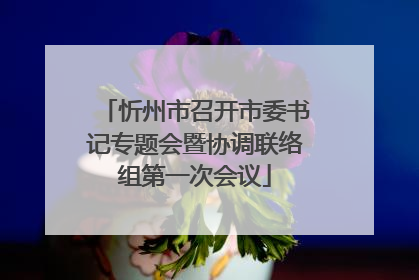 忻州市召开市委书记专题会暨协调联络组第一次会议