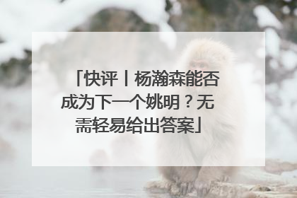 快评丨杨瀚森能否成为下一个姚明？无需轻易给出答案