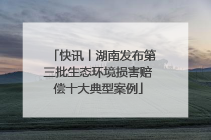 快讯丨湖南发布第三批生态环境损害赔偿十大典型案例