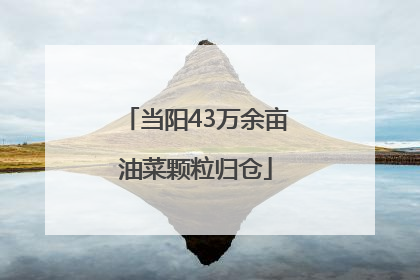 当阳43万余亩油菜颗粒归仓