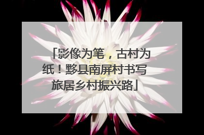 影像为笔，古村为纸！黟县南屏村书写旅居乡村振兴路