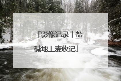 影像记录丨盐碱地上麦收记