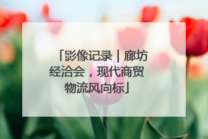 影像记录｜廊坊经洽会，现代商贸物流风向标