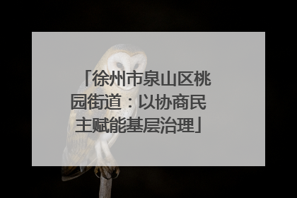 徐州市泉山区桃园街道：以协商民主赋能基层治理