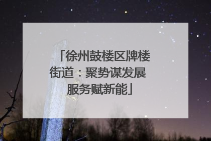 徐州鼓楼区牌楼街道：聚势谋发展 服务赋新能