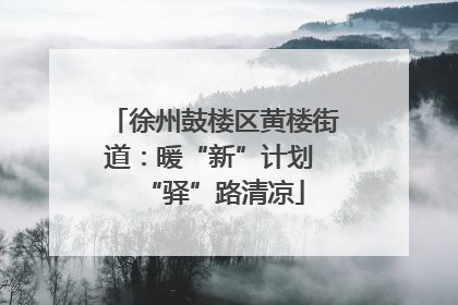 徐州鼓楼区黄楼街道：暖“新”计划 “驿”路清凉