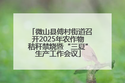微山县傅村街道召开2025年农作物秸秆禁烧暨“三夏”生产工作会议