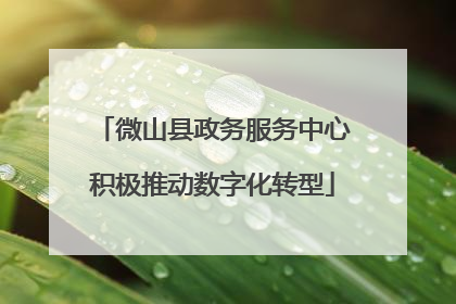 微山县政务服务中心积极推动数字化转型