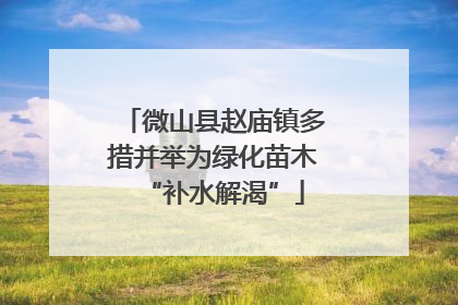 微山县赵庙镇多措并举为绿化苗木“补水解渴”
